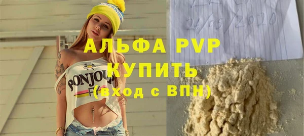 эйфоретик Богданович