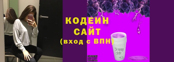 эйфоретик Богданович