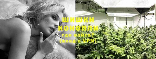 эйфоретик Богданович