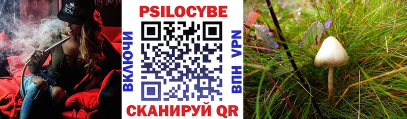 Галлюциногенные грибы мухоморы  мега ONION  Егорьевск 