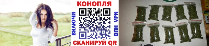 Бошки марихуана сатива  Егорьевск 